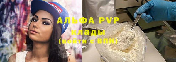 spice Инта