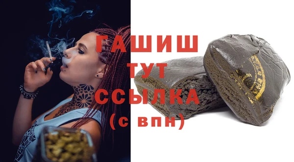 индика Инсар