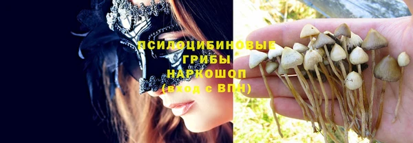 прущие крисы Иннополис