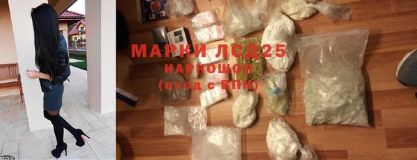 spice Инта