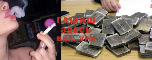 spice Инта