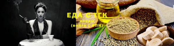 индика Инсар