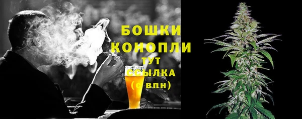 индика Инсар