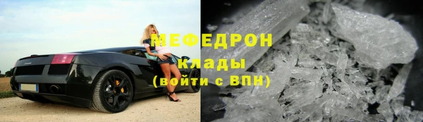 spice Инта