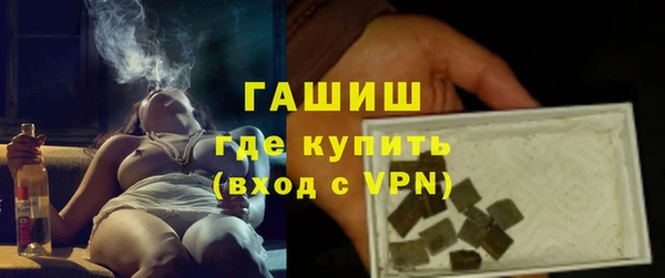 индика Инсар