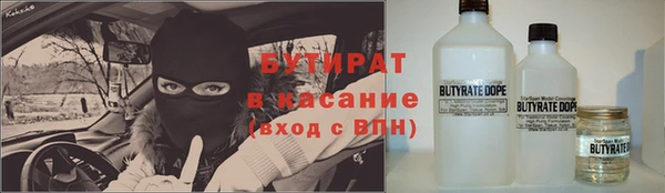 индика Инсар