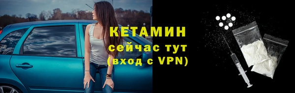 индика Инсар