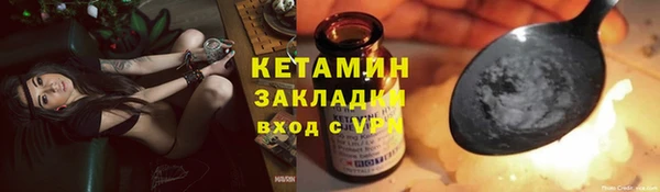 индика Инсар