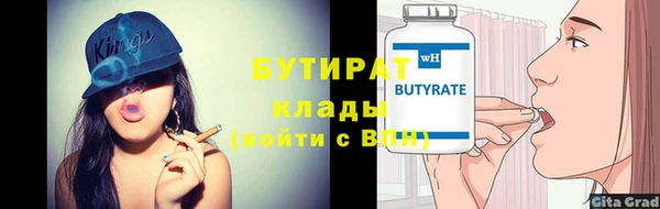 индика Инсар