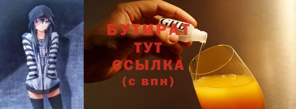spice Инта