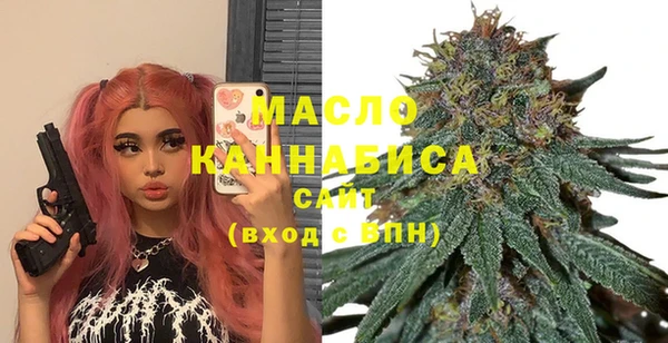 spice Инта