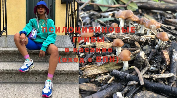 индика Инсар