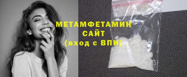 индика Инсар