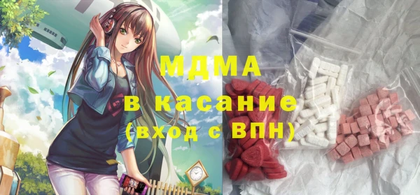 индика Инсар