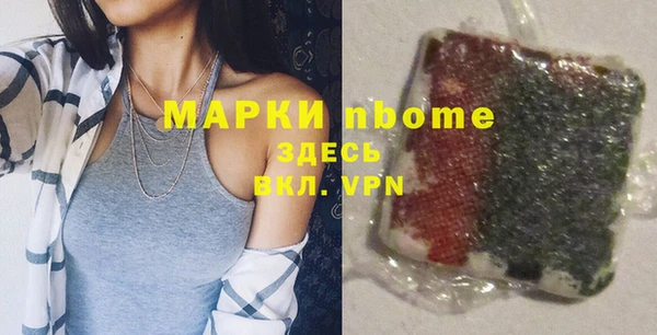 индика Инсар