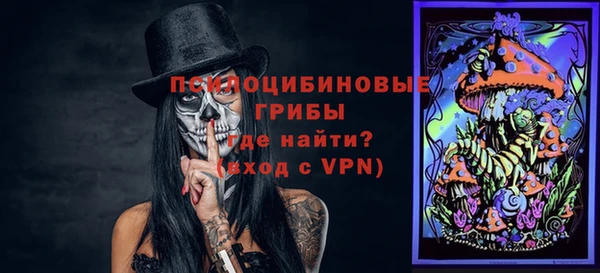 spice Инта