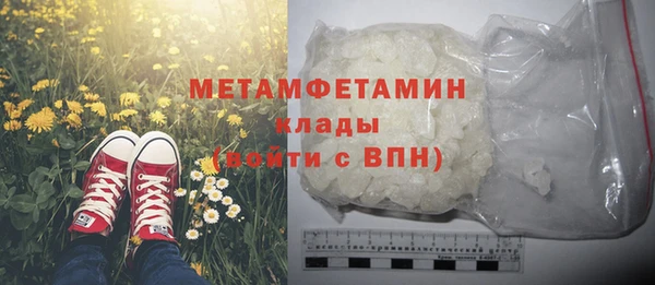 индика Инсар