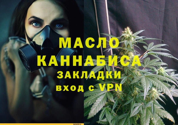 индика Инсар