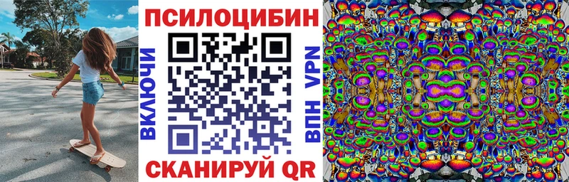 Купить где  Западная Двина  Галлюциногенные грибы прущие грибы 